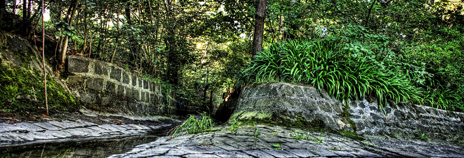 会员市场安全的简单轰炸机